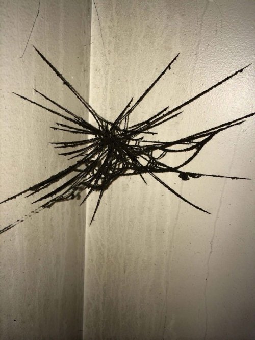 congenitaldisease:An ash covered spider web following a house fire.did the spider have insurance? :(