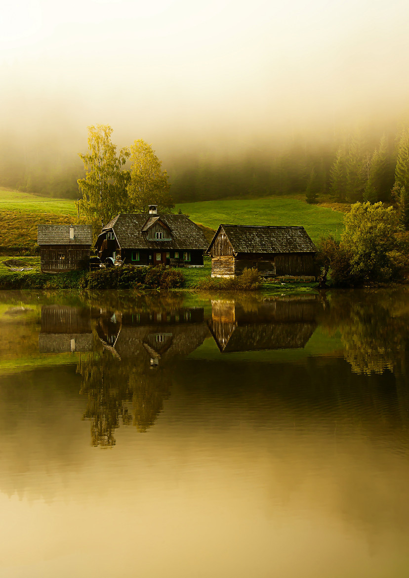 woodendreams:  (by Bernhard Klestil) 