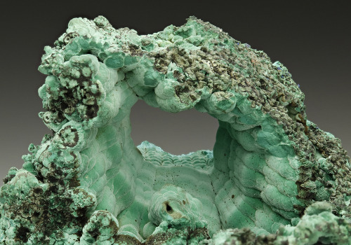 hematitehearts: Malachite Locality:  Banat Mountains, Caras-Severin County, Romania