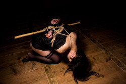 The Art Of Kinbaku