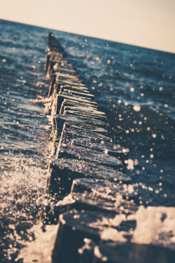 expressions-of-nature:  Splash by: Florian