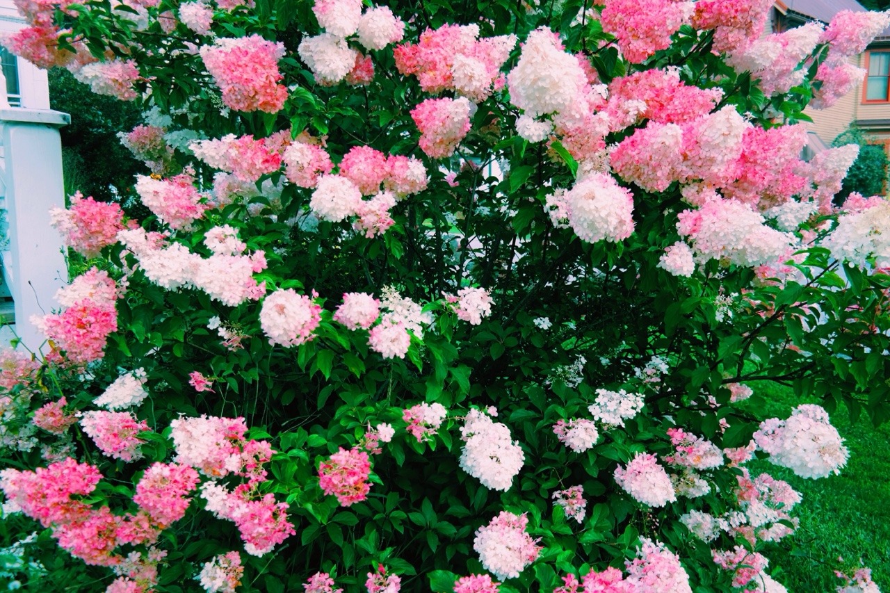 katieburwick:  Somewhere in Vermont 