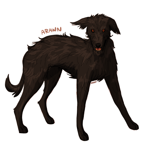 pancat-n-sausage: here’s a mistletoe sketchdump,,, first one is her pubby tho, Arawn (pronounced lik