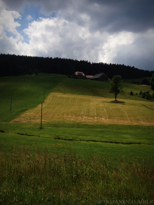 Driving through the Black Forest. Schönwald im Schwarzwald, Juni 2014.