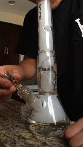 dabsandvveed:  tokes out of the RooR