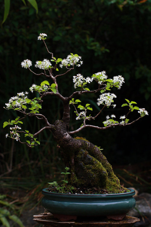 thebeautyoftheplanetearth:Sainte Lucie by *organicvision