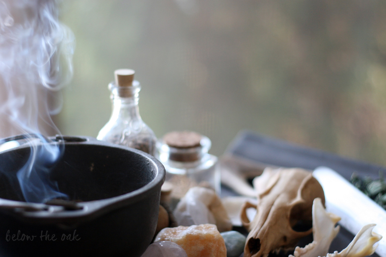 featherandmoss:  Part of my spring altar. -Rachel 
