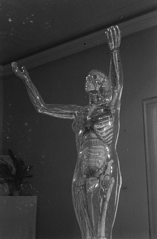 messytimetravel:  1935 : The “Glass Woman” at the German Hygiene Museum Curated