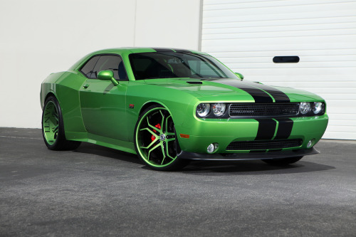 automotivated:  Challenger 1 (by Jonny Nyquist) adult photos