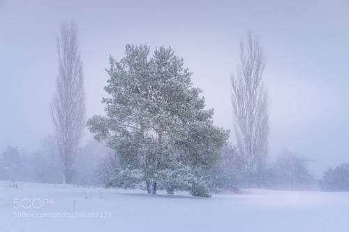 snowfall by Fotoarte