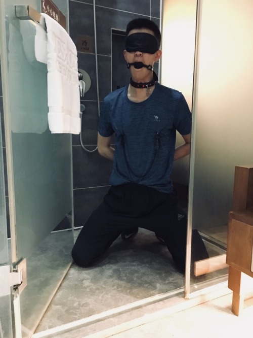 s-caicai: 后续 还有我最近收的一个特别呆萌的小弟
