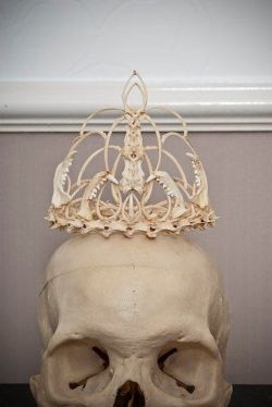 barfbarfbarf:  Bone crown 