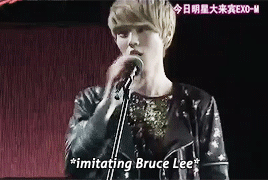  best of dumb exo pt. 2: ↳ Luhan 