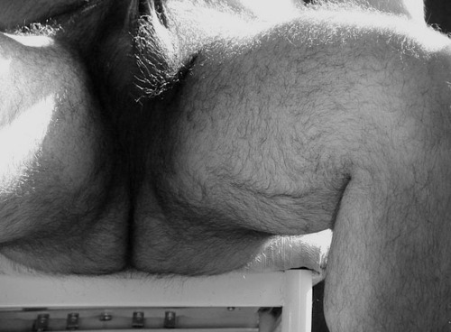 barebearx: edsonciriacodasilva: