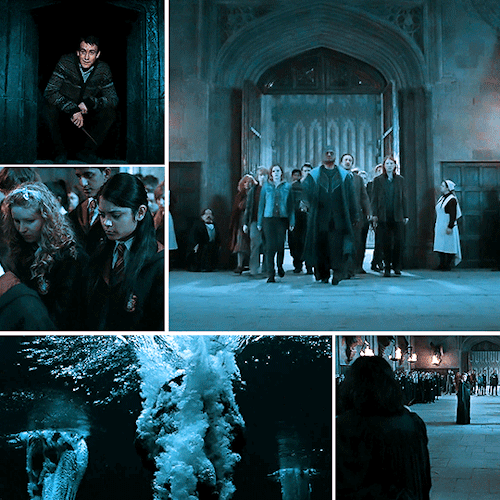 Harry Potter And The Deathly Hallows Part 2 (insp)