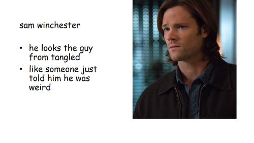 vorpmefrommyperdition:  homosexual-leafblower:  schwarzweis:  thanl:  i showed a 10-year-old boy some pictures of supernatural characters and he gave me his opinion on them  lucifer and him would be husbands i think  he listens to cheetah girls when he
