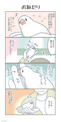 bunchobox:    思わずうれしくなる　ささやかなおねだりです。