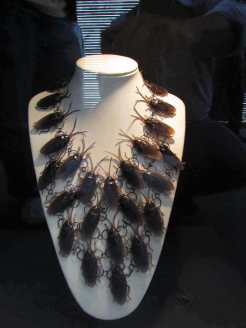 horrorpunk: It takes a special kind of gal to wear a cockroach necklace.