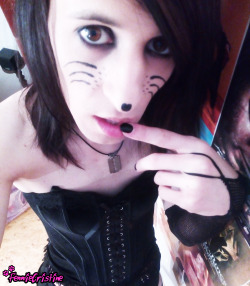 Some more pic from one of my old sets. Meow?