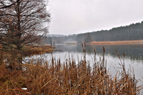 Foreground Focus - Winter is Coming by DonKevinBrown on Flickr.