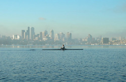 von-stitch:  Early morning row on Lake Union.