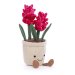 jellycatstuffies:Jellycat Amuseable Plants(from adult photos