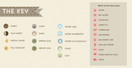 The Herb Growing Cheat Sheet [Infographics]Now we’ve entered spring and the sun is starting to