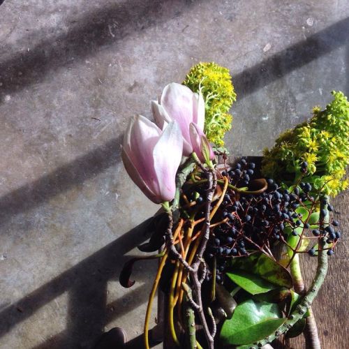 Kwartels en Manna | Creating and curating one of a kind floral based installations.