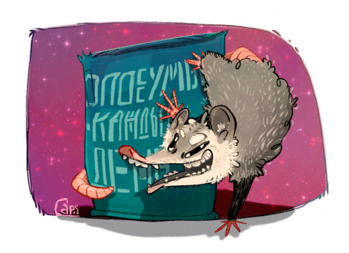 Daily Opossums