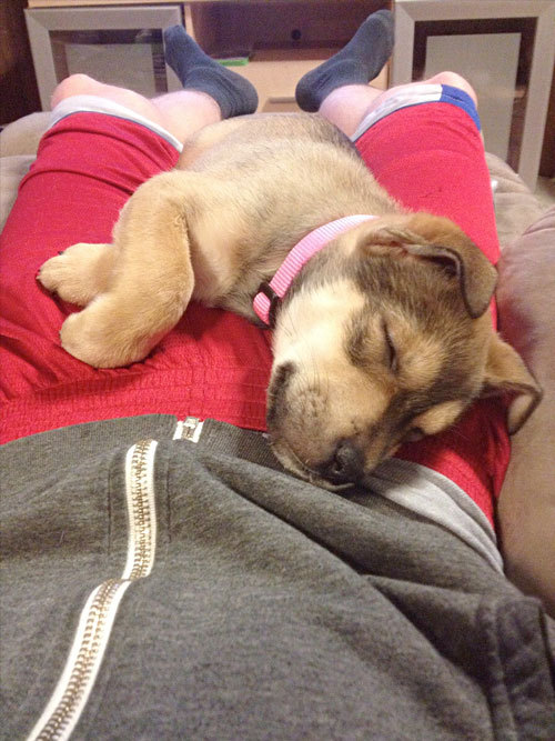 precious