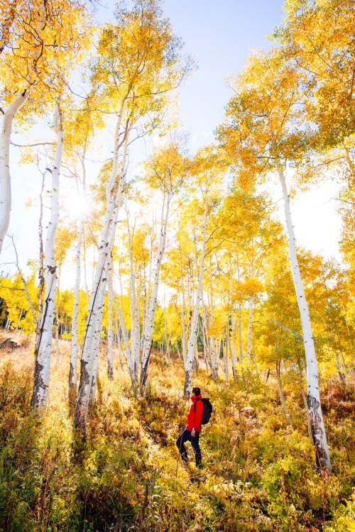 Fall in Colorado