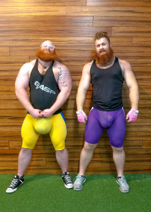 bebulge:Users, customers