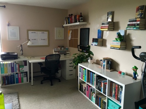 vet-in-progress:With a week off I finally got my study space finished. I am almost ready to start se