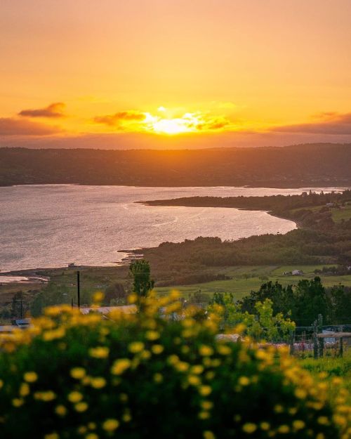 turnnoffyourmind: Simply Chile ღ Curanue, Quellón, Chiloé, Los Lagos, Chile.