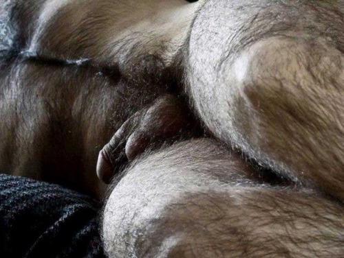 furrymennuts: Furry Men Nuts  &amp;  ARCHIVE