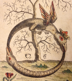 magictransistor:  Ouroboros (Tail-swallowing Serpent, symbol of time and eternity), c. 1760. 