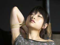 shibarihowto:  Itsuka Hizuki by DigiPub @ http://flic.kr/p/oQXyZS