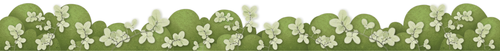 015 - divider by @uzmacchiato on tumblr