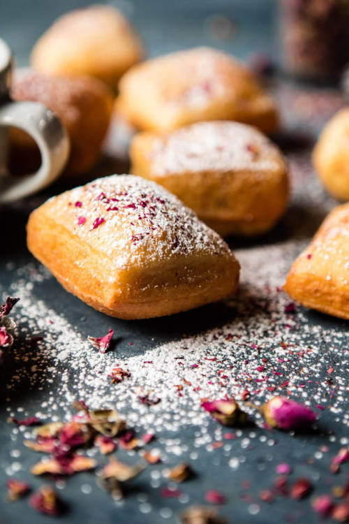 XXX yummyinmytumbly:  Cardamom Rose Beignets photo