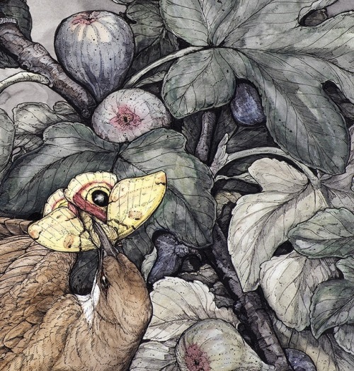 First full image of a piece for my show at Antler Gallery that officially opens tomorrow!“Fig”, 20