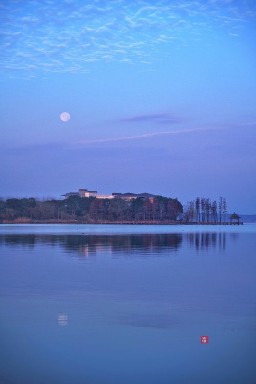 fuckyeahchinesegarden: suzhou, jiangsu province by 2011大漠孤夜