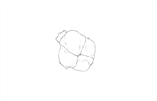 charleshuettner:Some animation I did for I made for Caleb Wood in his new music video for “Sai