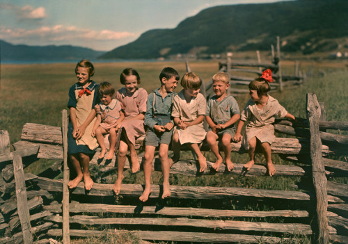 Seven siblings sit on a wooden fence in Quebec, Canada, May 1939.Photograph by Howell Walker, Nation