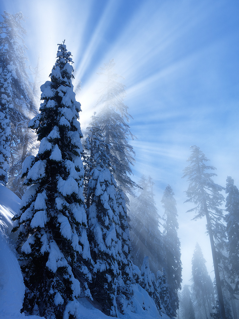 radivs:  'After the Storm' by Ben H. 