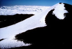 pleoros: dennis stock, hawaii island, skier