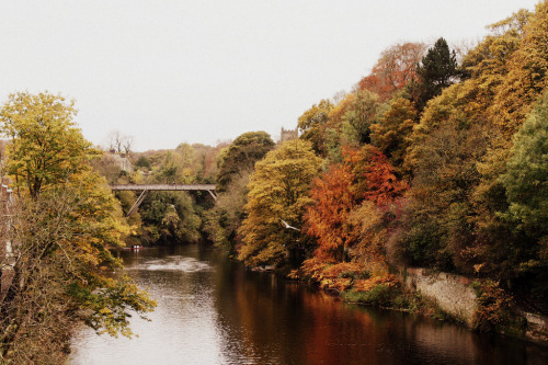 jacindaelena:  Durham by schwurlie  