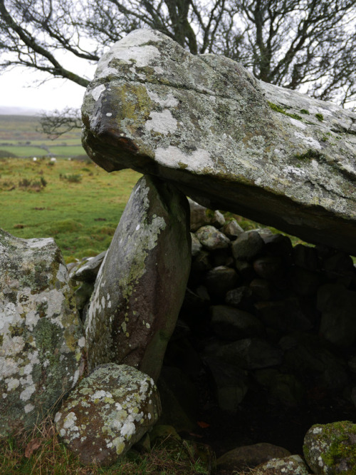 Cors Y Gedol Burial Chamber, nr. Barmouth, North Wales, 20.1.18.A beautiful Neolithic burial chamber