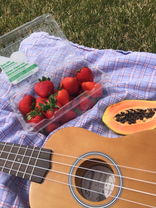 localpeachy:went on a picnic yesterday!