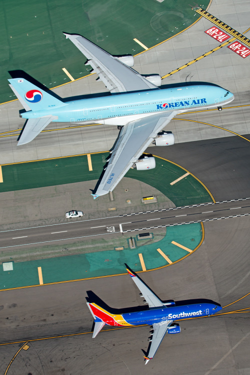 enrique262: airviation: Photo by Chris Hall Airbus A380 vs Boeing 737-800 