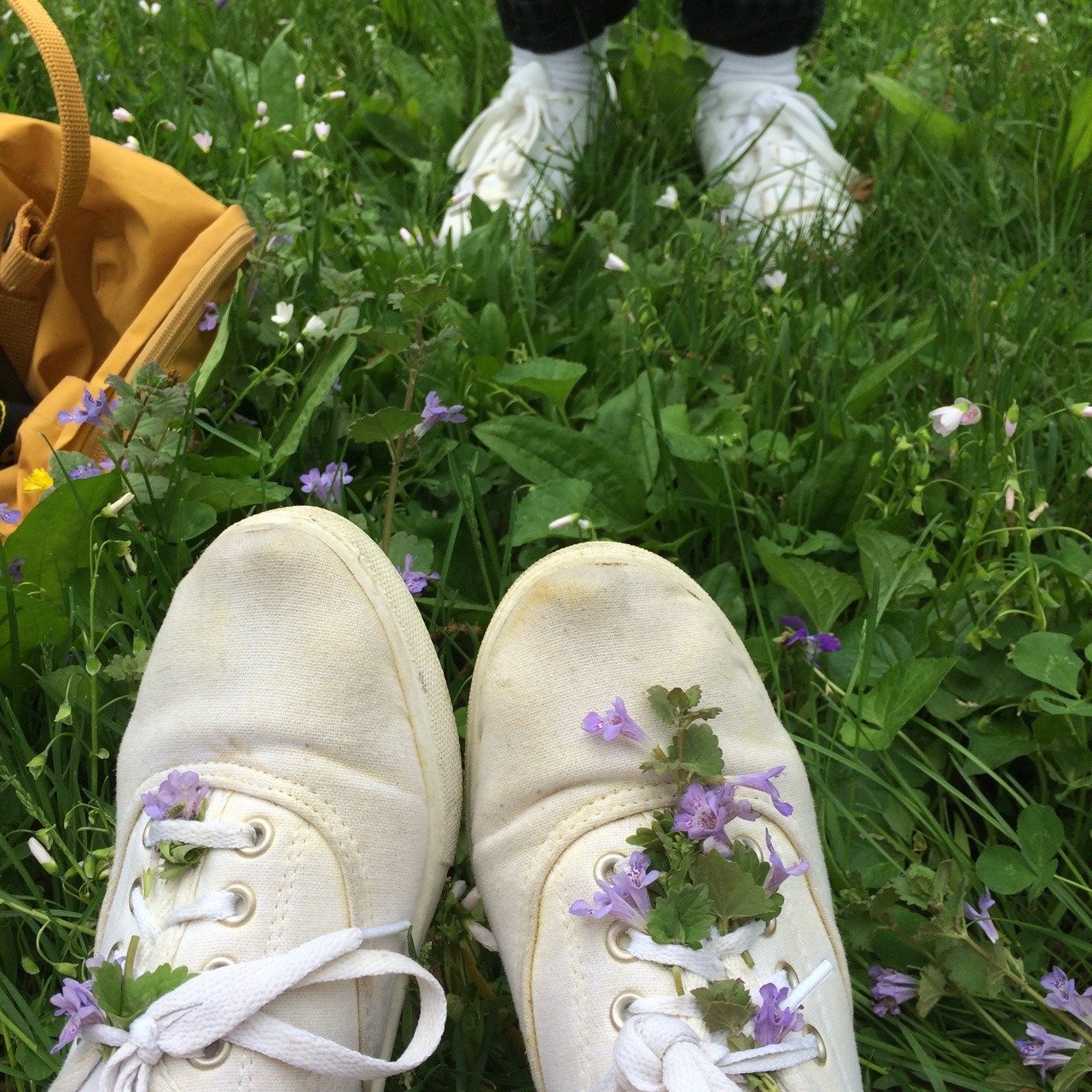 inbetweeninq:  last Wednesday with littlebirdy-bigworld 